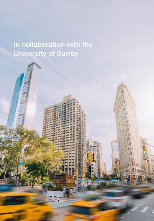 WEF Publication